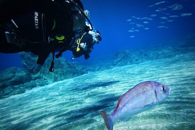 Private Scuba Diving in Tenerife Certified Instructor & Photos - FAQs