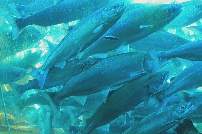 Private Seattle History and Landmarks Tour - A Practical Overview of What to Expect