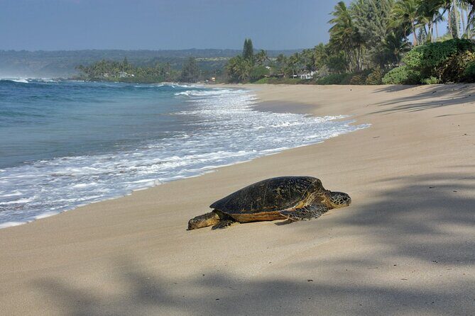 Private Secret Spots Tour on Oahu Hawaii - Frequently Asked Questions