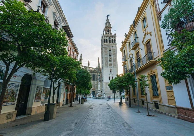 Private Seville: exclusive tour of Santa Cruz and the historic center - A Closer Look at What Makes This Tour Special