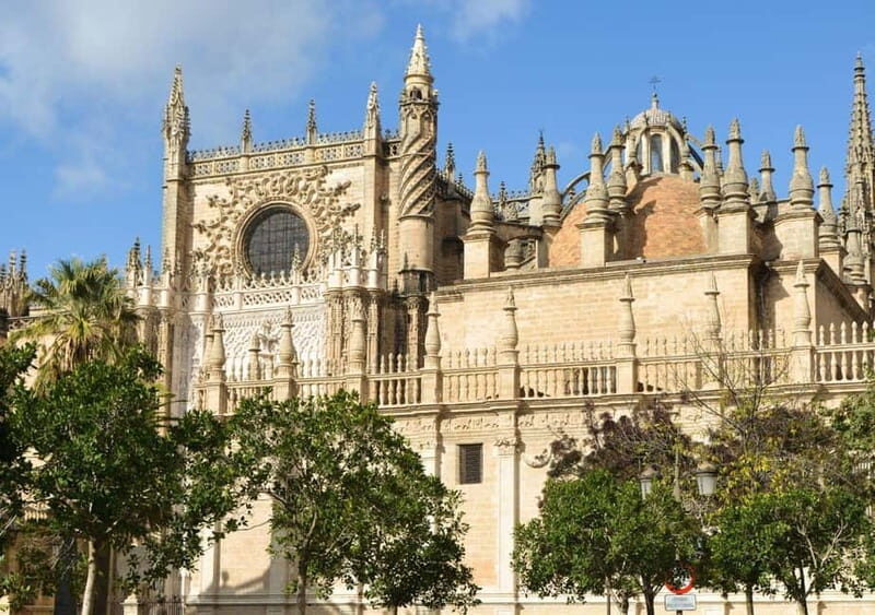 Private Seville: exclusive tour of Santa Cruz and the historic center - Authentic Feedback and Insights