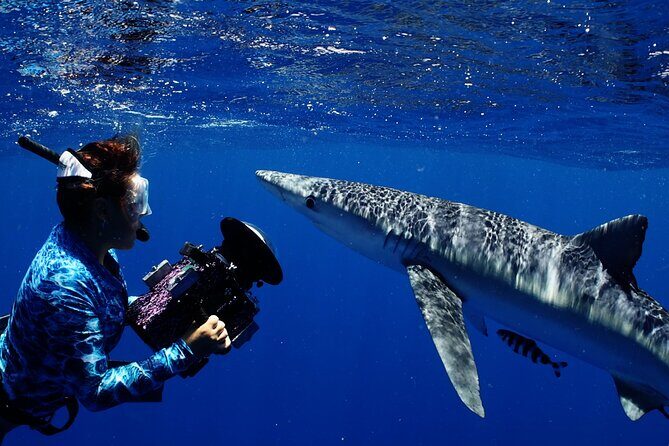 Private Shark Dive, Oahu, Hawaii (6 Guest) - FAQ