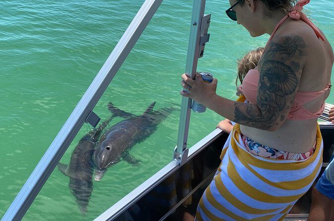 Private Shell Key Island Adventure Dolphins And Shells - Price and Value Considerations