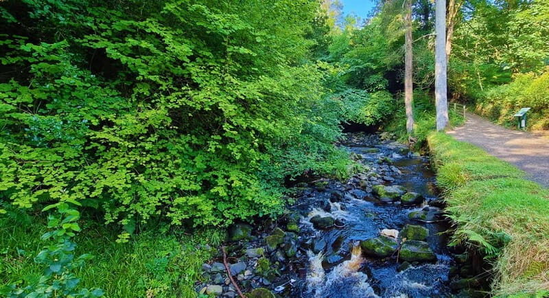 Private Shore Excursion From Belfast Cruise Terminal - Practical Tips for Your Tour