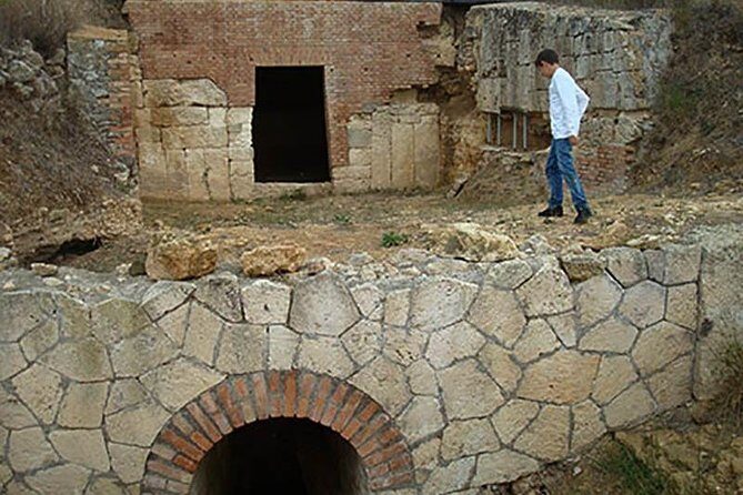 Private Shore Excursion from Civitavecchia Port to Etruscan Countryside - The Value of This Tour