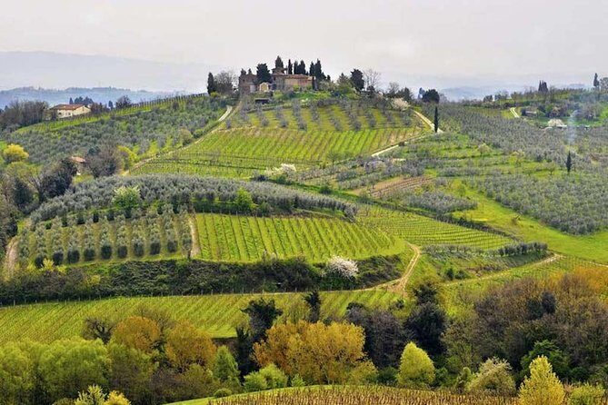 Private Shore Excursion from Livorno Port: Tuscany Highlights - Why This Tour Stands Out