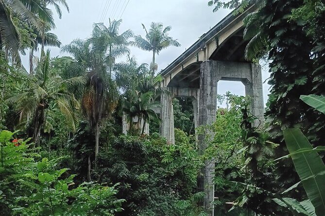 Private Shore Excursion Hilo Land of Frozen Fire up to 14 - Starting the Day: From Hilo to the First Stops
