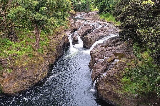 Private Shore Excursion Hilo Land of Frozen Fire up to 14 - Volcanic History & Local Art