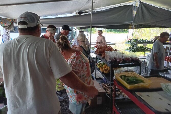 Private Shore Excursion Hilo Land of Frozen Fire up to 14 - Who Would Love This Tour?