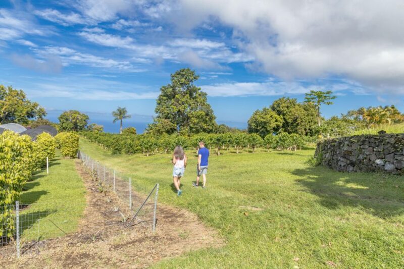 Private Shore Excursion Kona Coffee & National Historic Park - FAQ