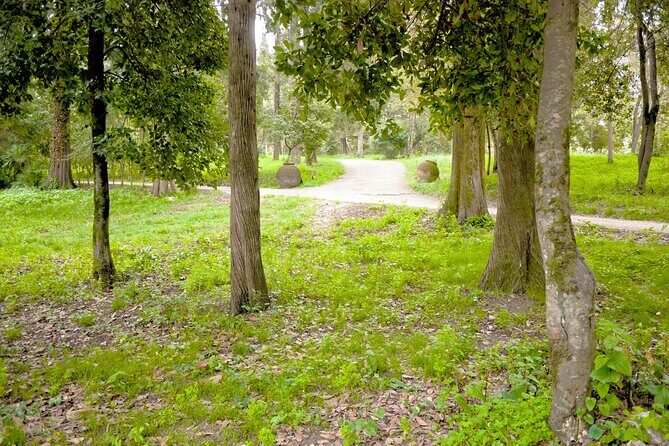 Private Shore Excursion Visit in Corfu with private driver. - The Itinerary in Depth