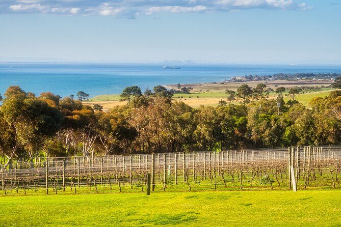 Private Shore Tour: Bellarine Peninsula Wine Experience - Who Is This Tour Best For?