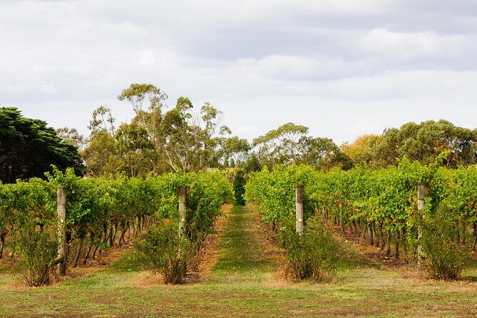 Private Shore Tour: Bellarine Peninsula Wine Experience - FAQs About the Bellarine Peninsula Wine Experience