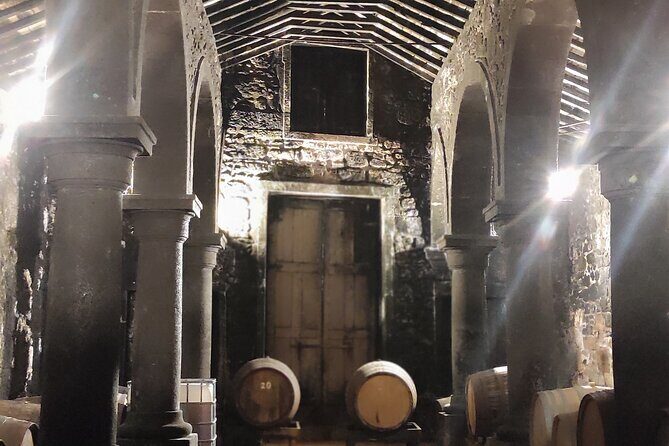 Private Shore Tour Galicia South Atlantic Coast, Portugal &Wine - Is It Worth the Price?