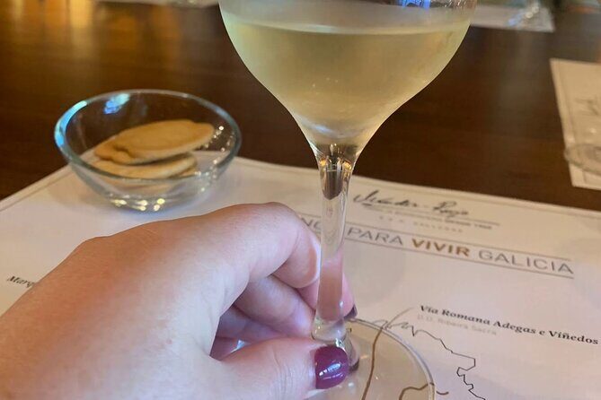 Private Shore Tour Galicia South Atlantic Coast, Portugal &Wine - Who Should Consider This Tour?