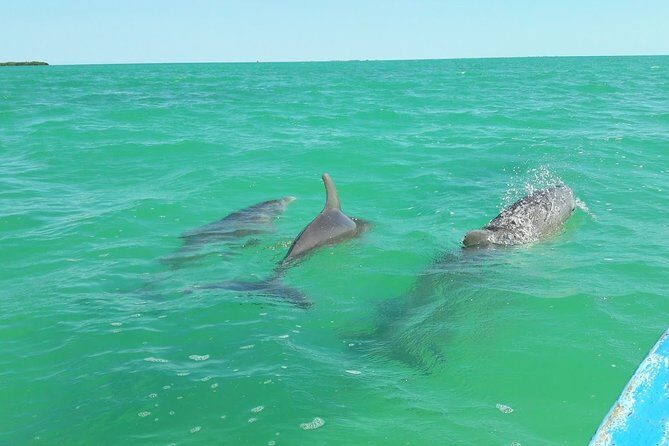 Private Sian Kaan Biosphere Tour - A Closer Look at the Private Sian Kaan Biosphere Tour