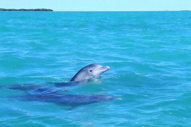 Private Sian Kaan Biosphere Tour - Final Thoughts