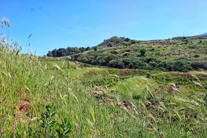 Private Sicilian Winery Tour with Gourmet Lunch  Country Escape - Who Is This Tour For?