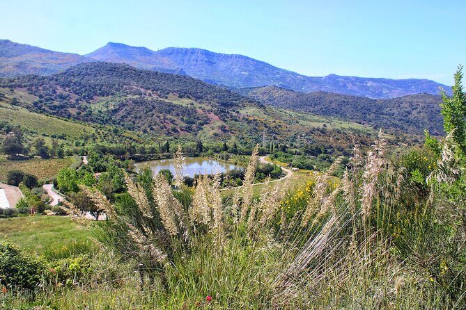 Private Sicilian Winery Tour with Gourmet Lunch  Country Escape - FAQ