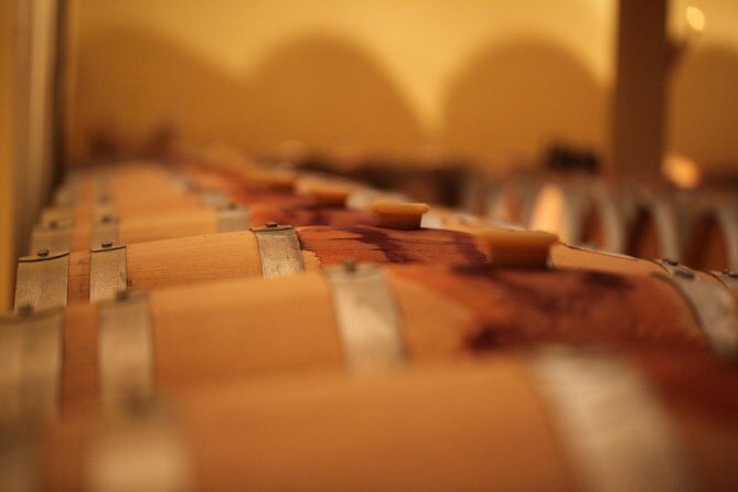 Private Siena to Florence Chianti and San Gimignano Transfer Tour - An In-Depth Look at the Itinerary