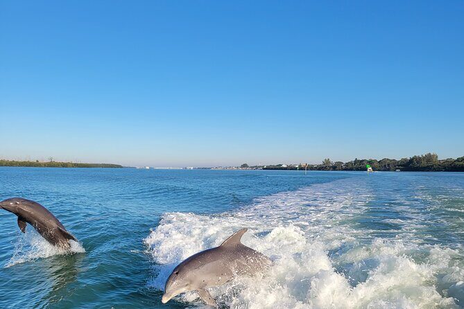 Private Siesta Funship Adventure/Dolphin Cruise Sandbar Stops - Discover Sarasota’s Waters with a Private Dolphin and Manatee Cruise