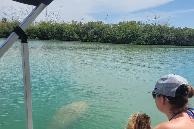 Private Siesta Funship Adventure/Dolphin Cruise Sandbar Stops - Real Traveler Experiences