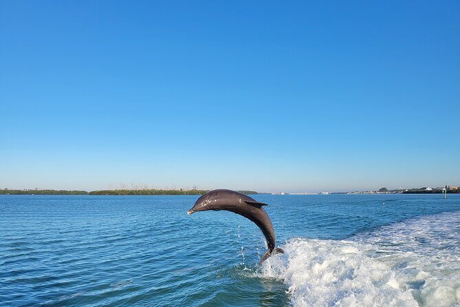 Private Siesta Funship Adventure/Dolphin Cruise Sandbar Stops - Practical Details