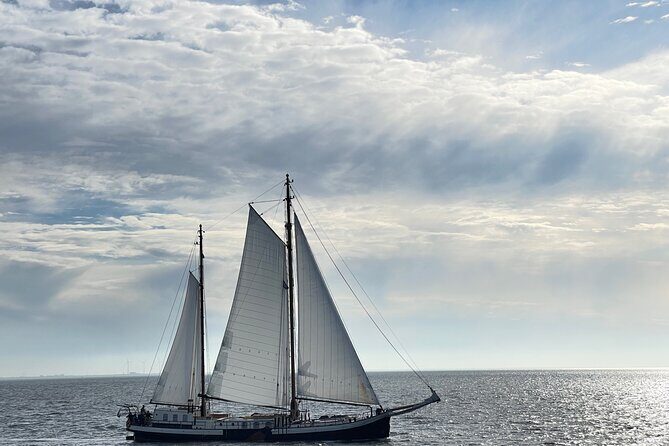 Private sightseeing in a Volvo XC 90 All inclusive museum/guiding - Practicalities and Considerations