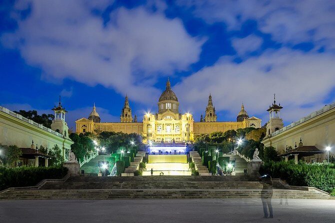 Private Sightseeing in Barcelona By Night - Who Should Consider This Tour?