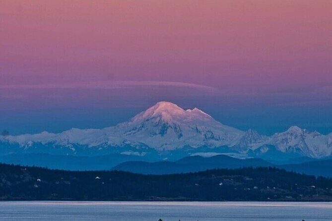 Private Sightseeing Tour in Victoria Canada - What Travelers Say