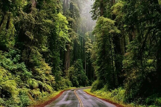 Private Sightseeing Tour in Victoria Canada - Practical Considerations