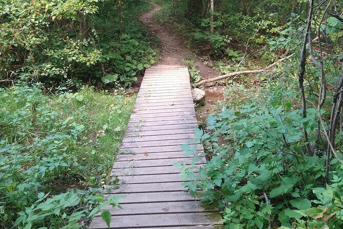 Private Singhampton Caves Hiking Tour, Collingwood/Blue Mountain - Final Thoughts