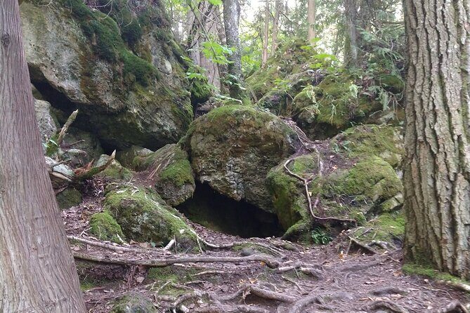 Private Singhampton Caves Hiking Tour, Collingwood/Blue Mountain - FAQ