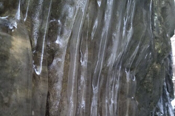 Private Singhampton Caves Snowshoe, Collingwood/Blue Mountain - Real Traveler Insights