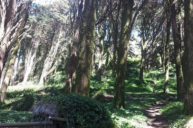 Private Sintra Day Trip from Lisbon with Wine Tasting and Monserrate Palace - Things to Keep in Mind