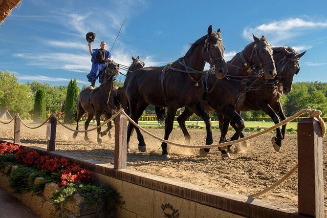 Private Sissi Palace tour in Godollo city with Puszta tour option - The Sum Up