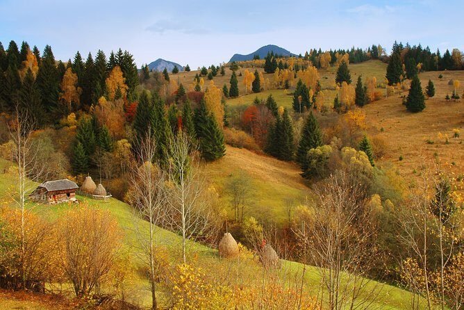 Private six days tour to Maramures and Bucovina from Cluj-Napoca - Final Thoughts: Who Is This Tour For?