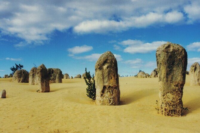 Private Snæfellsnes Peninsula day tour with 6+ Attractions - Discovering the Black Sand Beaches and Ancient Relics