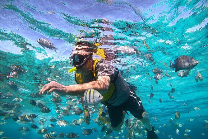 Private Snorkel and Isla Mujeres Tour - Practical Tips for Booking and Enjoying