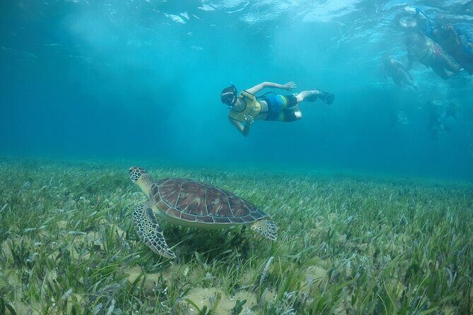 Private Snorkel and Isla Mujeres Tour - Who Is This Tour Best For?