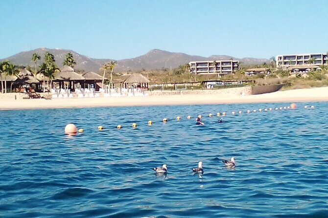 Private Snorkel Santa Maria and Chileno Bay Adventure Los Cabos - An In-Depth Look at the Tour