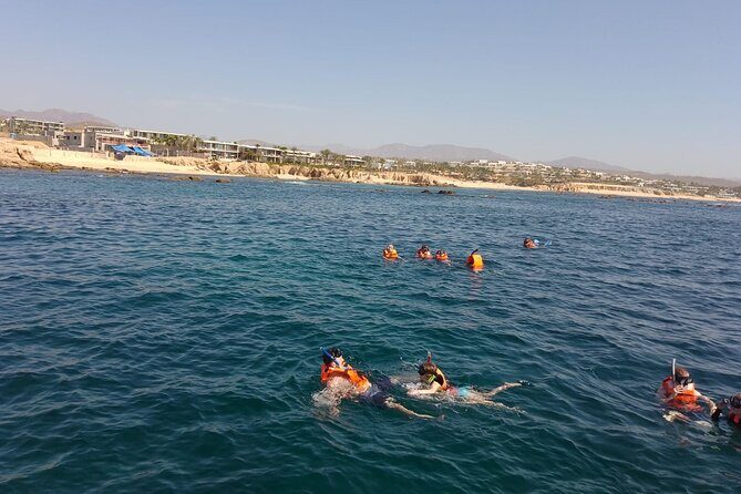 Private Snorkel Santa Maria and Chileno Bay Adventure Los Cabos - How the Experience Feels in Practice