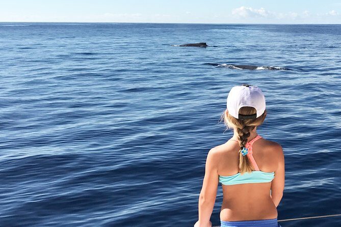 Private Snorkel Trip from Oahu on a Yacht - The Value of a Private Yacht: Is It Worth It?