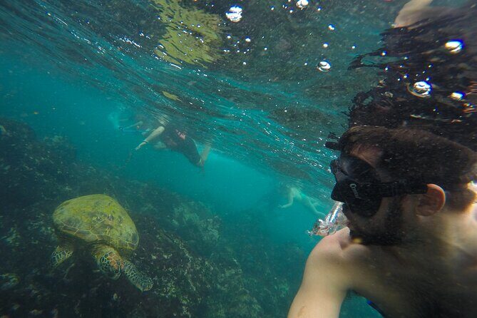 Private Snorkeling Activity in Key Largo - What Is the Private Snorkeling Tour in Key Largo All About?