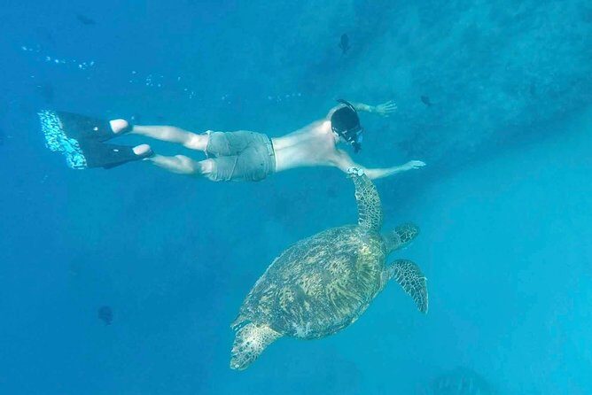 Private Snorkeling and Wildlife on The Adventure Boat - Who Is This Tour Best For?