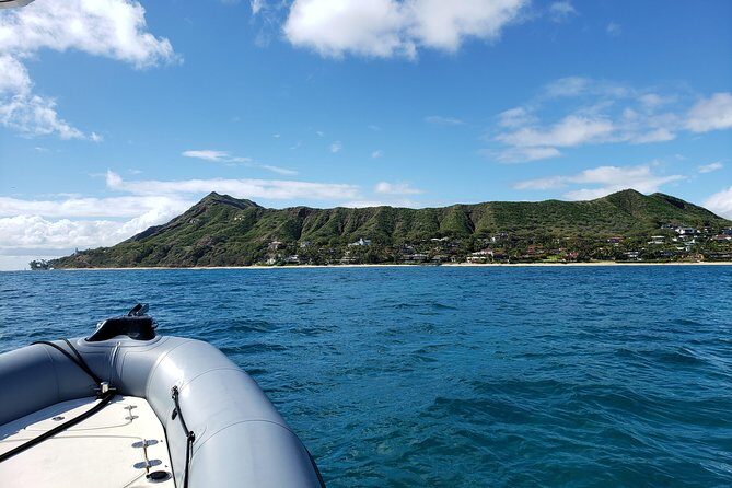 Private Snorkeling and Wildlife on The Adventure Boat - FAQs