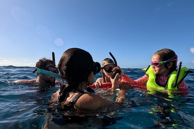 Private Snorkeling Cruise in Waikiki - A Close Look at the Private Snorkeling Cruise in Waikiki