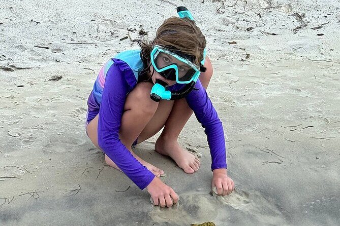 Private Snorkeling Excursion - The Price and What You Get