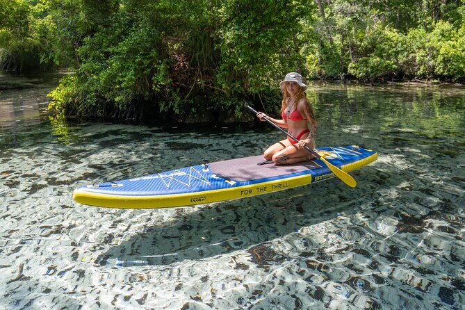 Private Snorkeling Expedition in the Florida Springs - Exploring Gainesville’s Springs: What to Expect