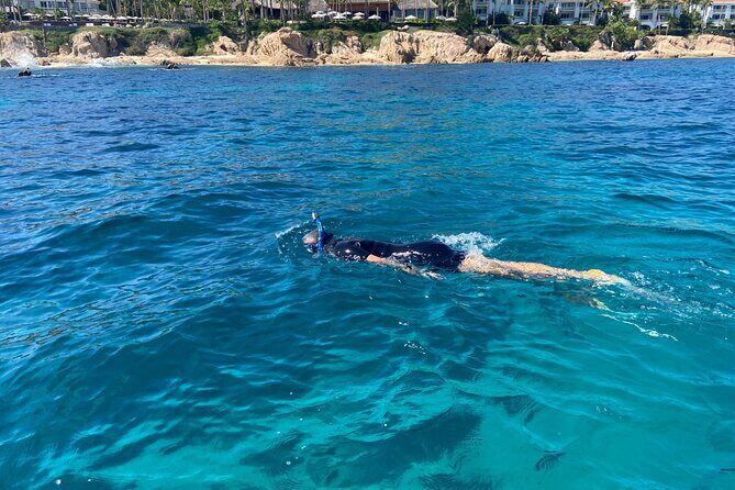 Private Snorkeling In San Jose Del Cabo Lunch, Drinks, Snack - Final Thoughts